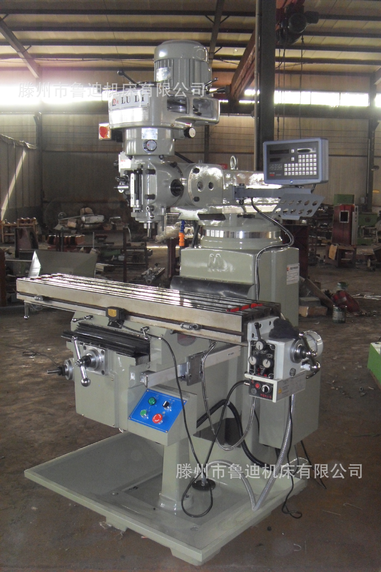 SDC10484