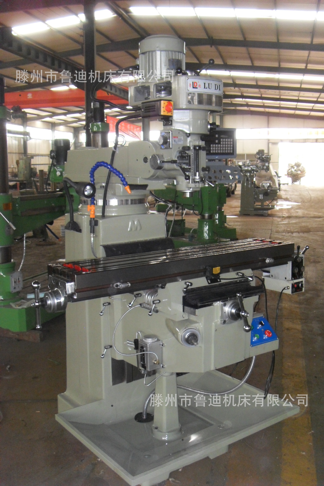 SDC10490